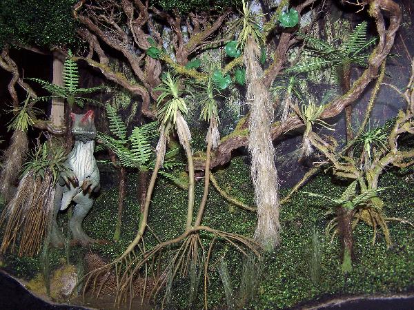 Ambiance "jurassique" avec cette végétation tropicale (fougères arborescentes et pandanis).