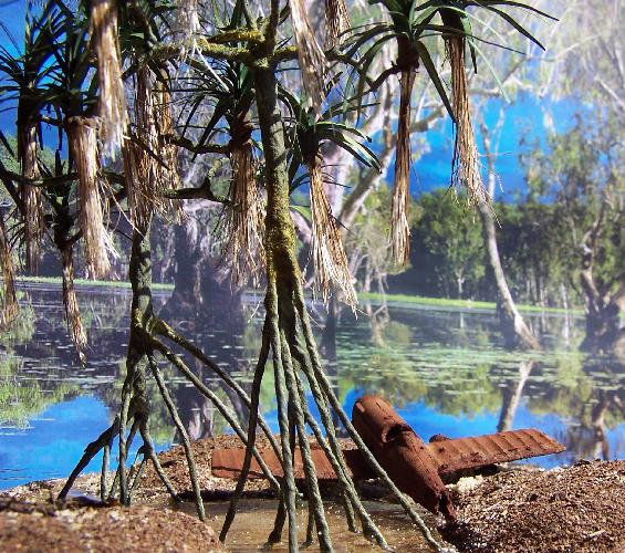 Forêt de pandanis sur une plage tropicale (HO).